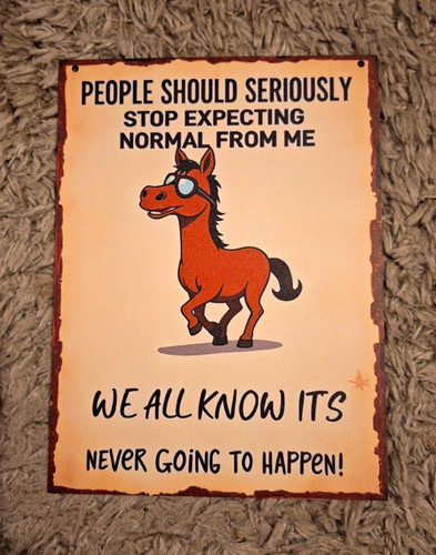 Vintage retro humour - humour, horse