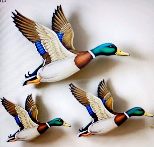 Flying wild ducks rustic - 3, 2d