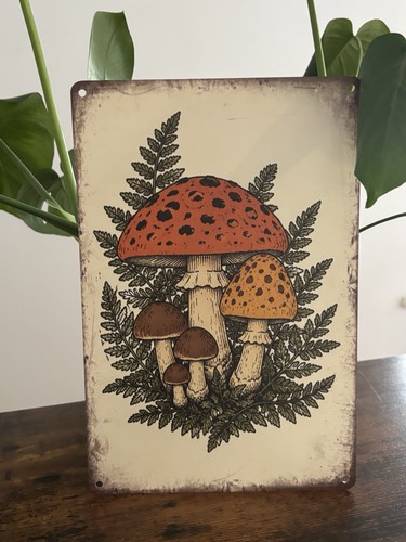 Mushroom metal sign - sign, 8x12