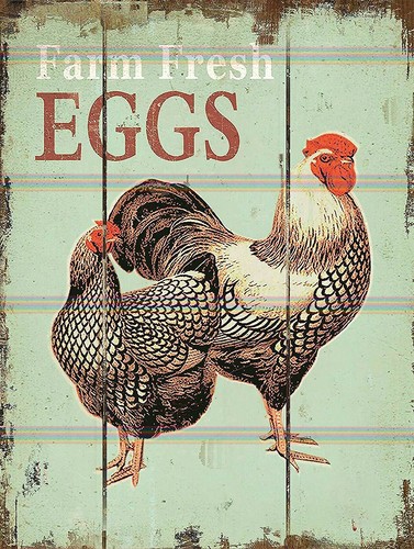 Farm fresh eggs - retro, tin